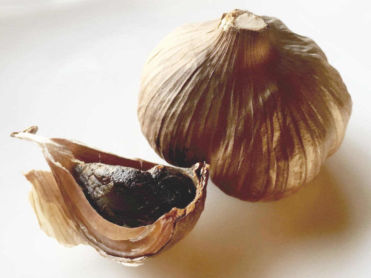 自然栽培にんにく農家の ウェルネス・アンチエイジングお試しセット (黒にんにく・にんにくの芽茶 約2週間分) 限定80セット