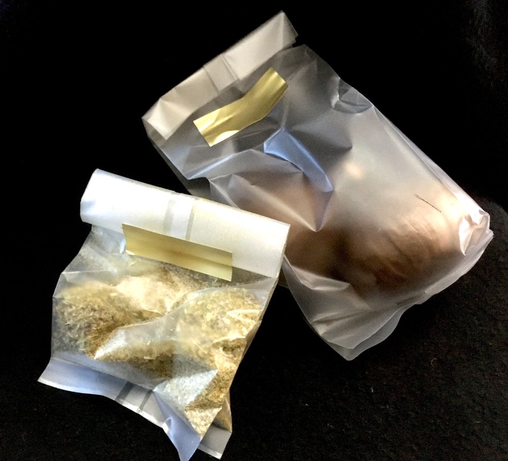自然栽培にんにく農家の ウェルネス・アンチエイジングお試しセット (黒にんにく・にんにくの芽茶 約2週間分) 限定80セット
